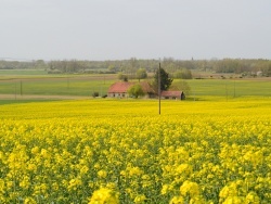 Photo paysage et monuments, Asnans-Beauvoisin - Asnans Jura-Vornes;02 Avril 2014.