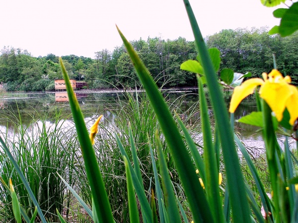 Photo Chapelle-Voland - Etangs Vaillants.2.