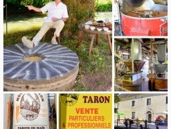 Photo paysage et monuments, Chaussin - Chaussin Jura.Journée des moulins 2017.Le moulin Taron.