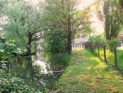 Photo paysage et monuments, Chaussin - Chaussin:canal du moulin.