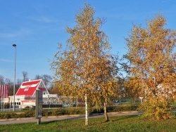 Photo paysage et monuments, Choisey - Choisey.Jura.Automne 2011.