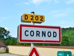 Photo de Cornod