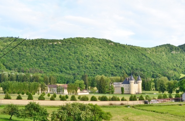 Photo Cornod - le château