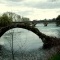 Dole;pont Roman.1