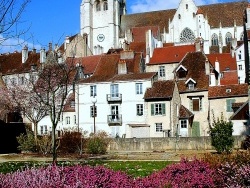 Photo paysage et monuments, Dole - La collégiale Printemps 2009.