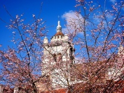 Photo paysage et monuments, Dole - Dole-Jura-au printemps