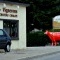 Photo Domblans - Domblans Jura;vache de ville...