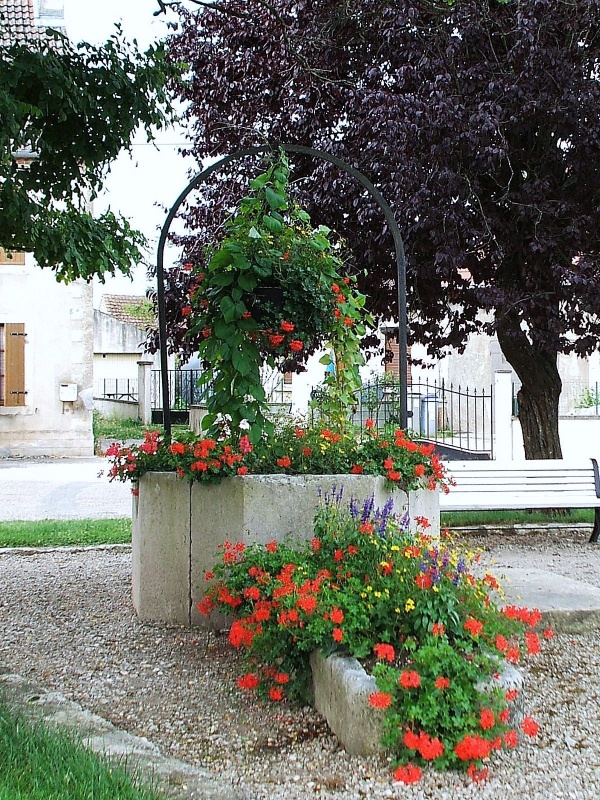 Photo Gevry - Puits de fleurs.