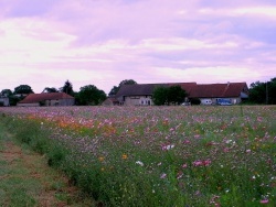 Photo paysage et monuments, Longwy-sur-le-Doubs - Longwy sur le Doubs;Hameau,Les Moussières.