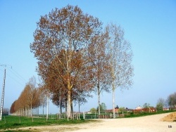 Photo paysage et monuments, Longwy-sur-le-Doubs - Longwy sur le Doubs-Jura.Champ de foire.