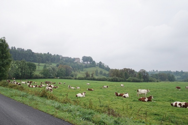 Photo Mièges - le village