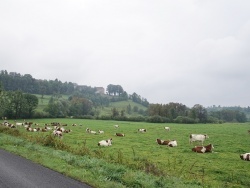 Photo paysage et monuments, Mièges - le village