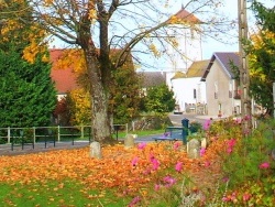 Photo paysage et monuments, Molay - Molay Jura-automne.