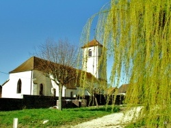 Photo paysage et monuments, Molay - Molay-Jura.Avril 2010.