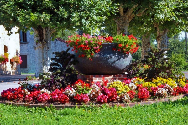 Photo Nance - Nance-Jura;Fleurs d'été-2010.