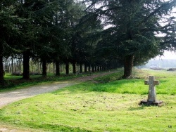 Photo paysage et monuments, Neublans-Abergement - Neublans.Jura-Croix Pattée.