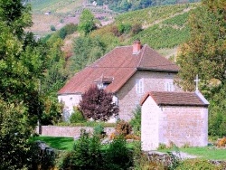 Photo paysage et monuments, Nevy-sur-Seille - Nevy sur seille:en fond Château-chalon.