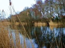 Photo paysage et monuments, Petit-Noir - Petit Noir-Jura-Les marais-4.