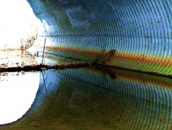 Photo paysage et monuments, Petit-Noir - Petit Noir-Jura-les marais-7.