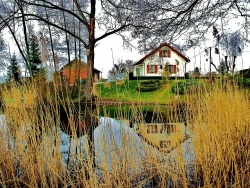 Photo paysage et monuments, Petit-Noir - Petit Noir-Jura-marais.6.