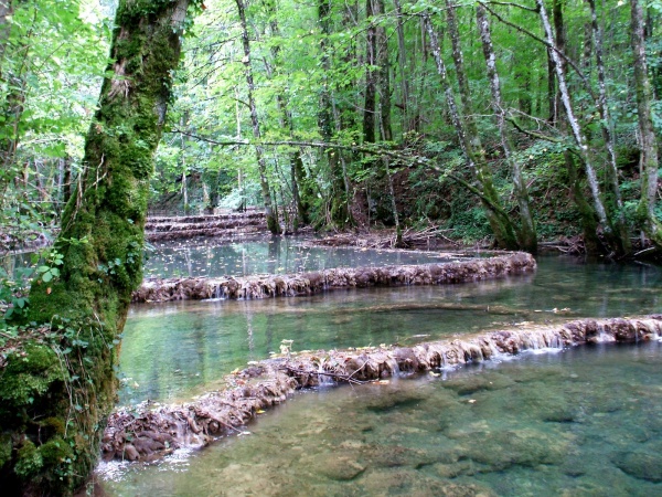 Photo Les Planches-près-Arbois - La cuisance et ses tufs.