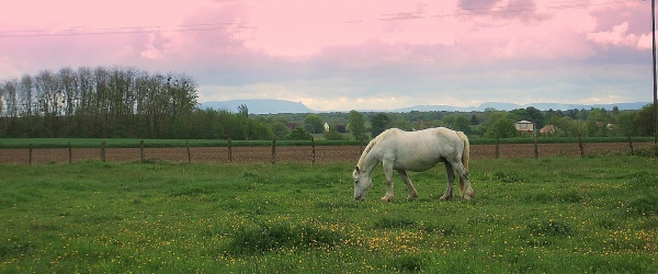 Photo Rahon - Rahon Jura-en fond vue sur le mont Poupet.