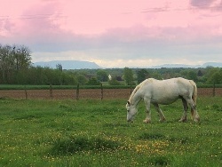 Photo paysage et monuments, Rahon - Rahon Jura-en fond vue sur le mont Poupet.