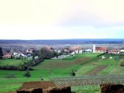Photo paysage et monuments, Saint-Cyr-Montmalin - Vue sur Montmalin - Jura 2