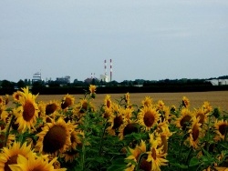 Photo paysage et monuments, Tavaux - Tavaux;Juillet 2009.