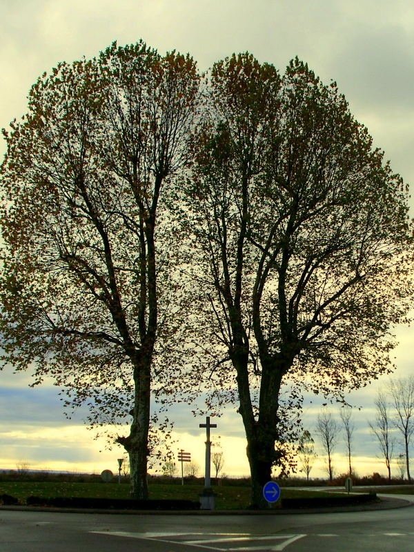 Photo Tavaux - Tavaux:route de Molay.2