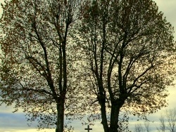 Photo paysage et monuments, Tavaux - Tavaux:route de Molay.2