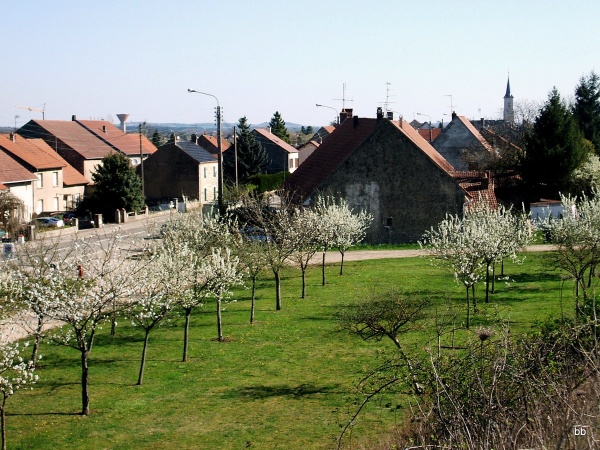 Photo Tavaux - Tavaux Jura-Printemps 2010-1.