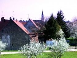 Photo paysage et monuments, Tavaux - Tavaux Jura-Printemps 2010-2.