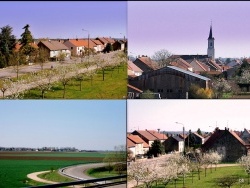 Photo paysage et monuments, Tavaux - Tavaux Jura-Printemps 2010-3.