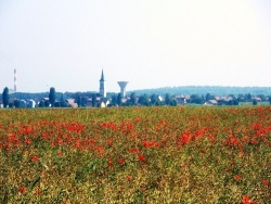 Photo paysage et monuments, Tavaux - Tavaux Jura-Juin 2013.