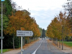 Photo paysage et monuments, Tavaux - Tavaux Jura-Avenue de la République,Octobre 2013.