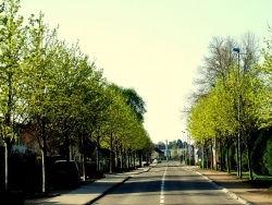 Photo paysage et monuments, Tavaux - Avenue de la République.