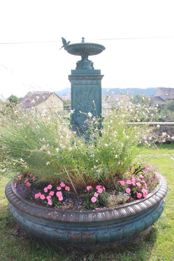 Photo Le Vaudioux - la fontaine
