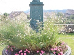 Photo paysage et monuments, Le Vaudioux - la fontaine