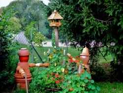 Photo paysage et monuments, Vaudrey - Vaudrey-Jura;Conversation au moulin....