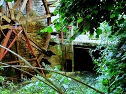 Photo paysage et monuments, Vaudrey - Vaudrey-Jura-Roue du moulin du Val d'Amour.