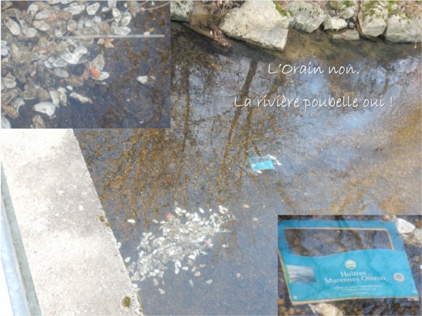 Photo Villers-les-Bois - l'Orain une rivière non, une poubelle oui!!