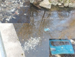 Photo vie locale, Villers-les-Bois - l'Orain une rivière non, une poubelle oui!!