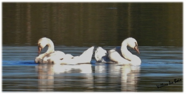 Photo Villers-les-Bois - Villers les Bois / Nature