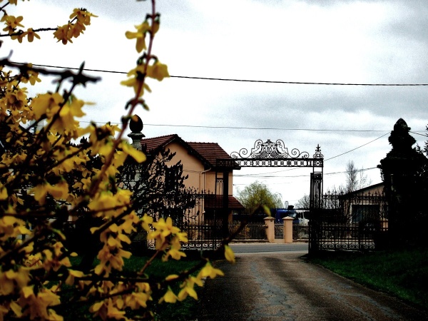 Photo Villette-lès-Dole - Entrée du Château de Villette les Dole.Jura.