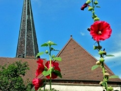 Photo paysage et monuments, Villevieux - Villevieux-Jura;roses trémiere