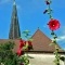 Photo Villevieux - Villevieux-Jura;roses trémiere