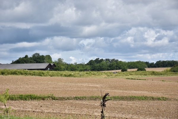 Photo Bénesse-lès-Dax - la commune