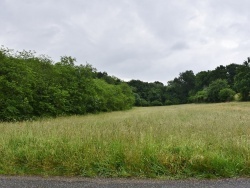 Photo paysage et monuments, Bonnegarde - la commune