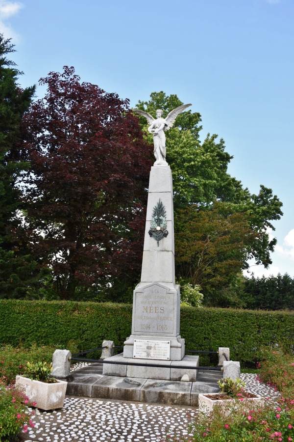 Photo Mées - le monument aux morts